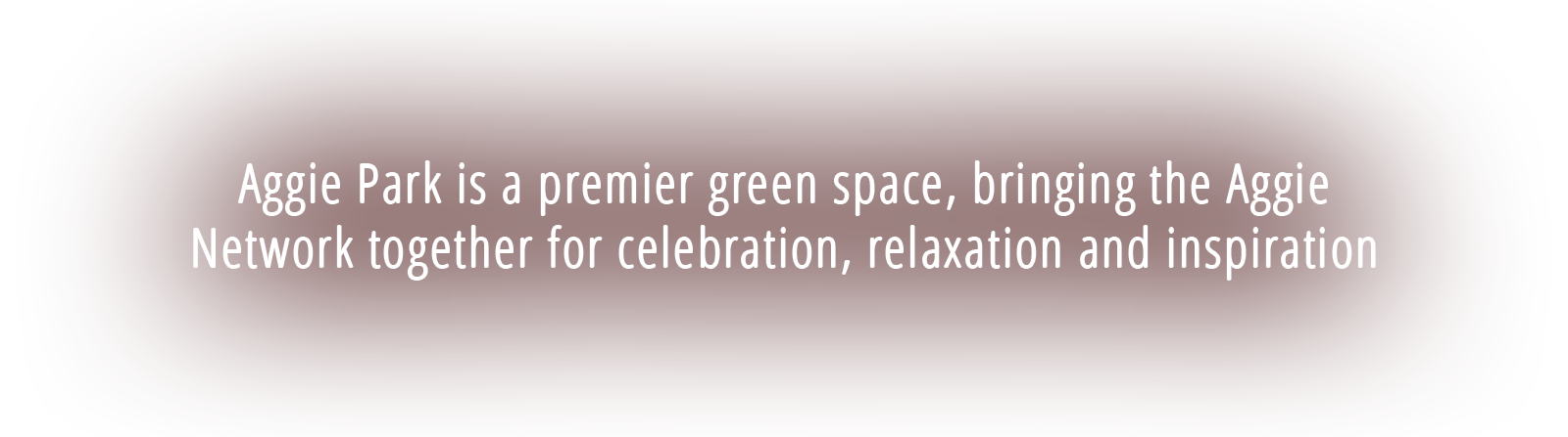 Aggie Park will be a premier green space, bringing the Aggie Network together for celebration, relaxation and inspiration